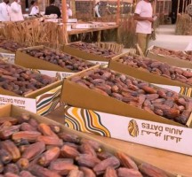 الفن في مهرجان للتمور