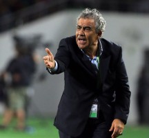 مدرب الوداد المغربي: لأهلي المصري لم يكن مقنعا في أدائه والنتائج لا تعكس المردود