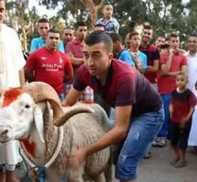 ما حكم من لا يضحي في العيد