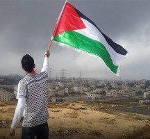 ماذا يحدث في جنين الان