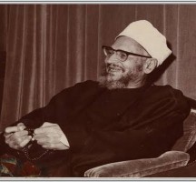 ولد الشيخ عبد الحليم محمود محافظة