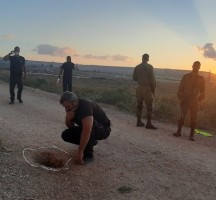 هروب أسرى فلسطينيين من سجون الاحتلال بطريقتهم