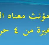 اسم مؤنث معناه النخله الصغيره