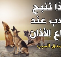 لماذا تنبح الكلاب عند سماع الاذان