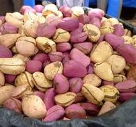 فوائد القورو