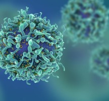 علماء: الخلايا المناعية مفتاح علاج التصلب المتعدد
