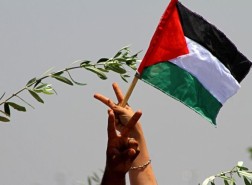 كم مدينة في فلسطين