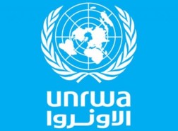 رابط فحص كوبونات الوكالة الجديدة رقم وصفحة وموعد صح