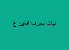 نبات بحرف غ