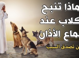 لماذا تنبح الكلاب عند سماع الاذان