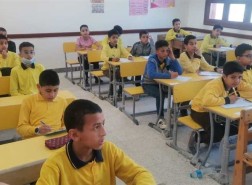 نتيجة الصف الرابع الابتدائي 2023 محافظة القليوبية