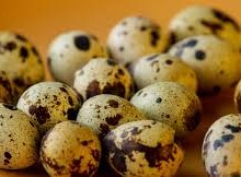 فوائد بيض السمان