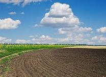 لماذا الارض لا تمتص الدم