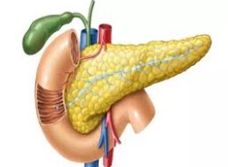 اعراض التهاب البنكرياس