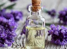 فوائد الخزامى