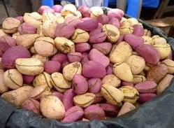 فوائد القورو