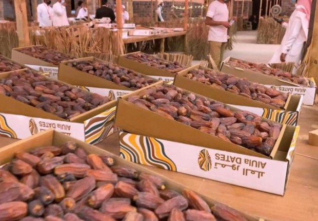 الفن في مهرجان للتمور