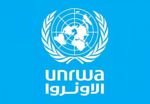 فحص 200 دولار للكابونة الصفراء 2021
