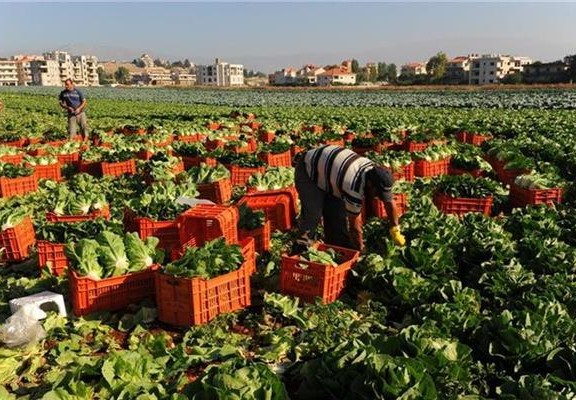 أرشيفية