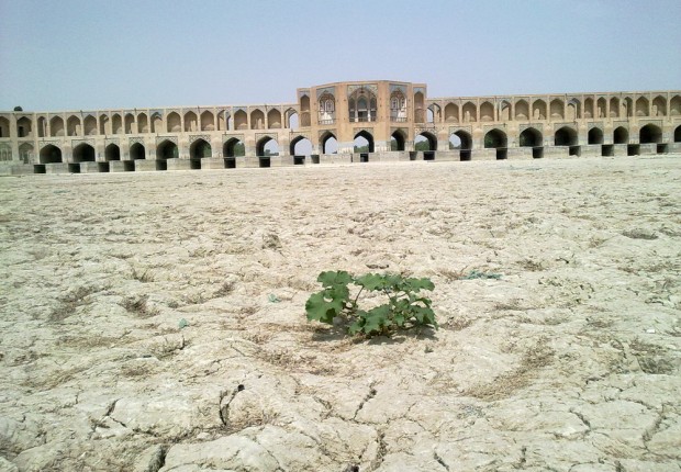 أرشيفية