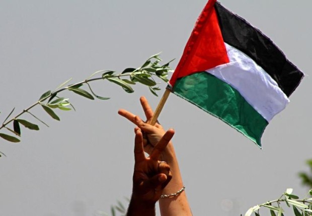 كم مدينة في فلسطين