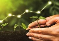 يسهم التنوع الحيوي في استقرار النظام البيئي