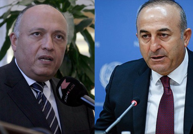 وزير الخارجية التركي ونظيره المصري