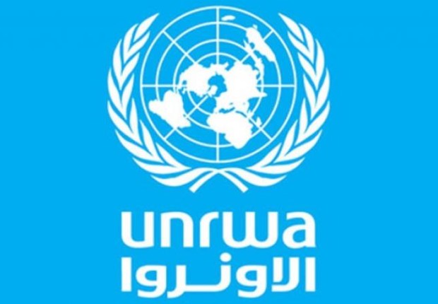 رابط فحص كوبونات الوكالة الجديدة رقم وصفحة وموعد صح