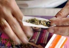 رحلة تايلاند من الحرب على المخدرات إلى تقنين الحشيش