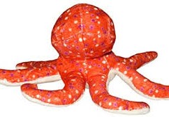 ما جمع كلمة اخطبوط