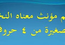 اسم مؤنث معناه النخله الصغيره