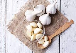 فوائد الثوم على الريق للجسم