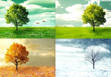 ما سبب حدوث الفصول الاربعه على الارض هو