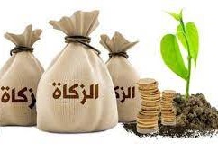 هل زكاة الفطر مال ام طعام