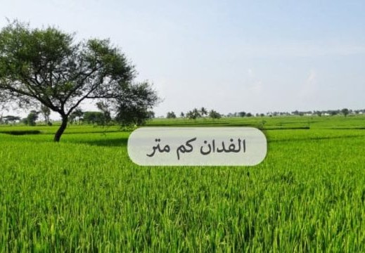 الفدان كم متر 2023