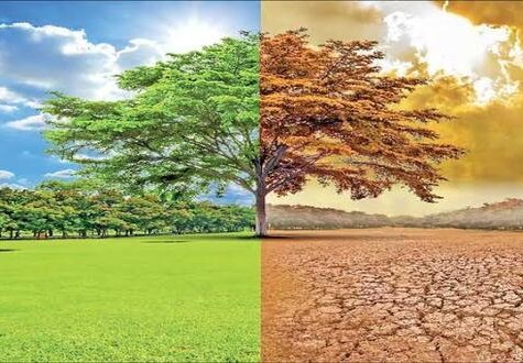 يقع وطني المملكة العربية السعودية ضمن المنطقة الدافئة