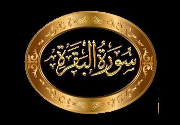 كم عدد صفحات سورة البقرة