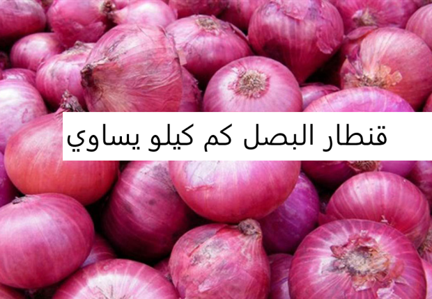 قنطار البصل كم كيلو