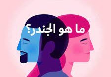 ما هو الجندر