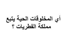 اي المخلوقات الحية يتبع مملكة الفطريات