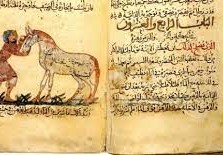 ما هو الشعر الجاهلي