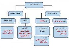 من المتممات المنصوبه