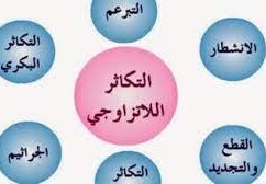 هي إحدى طرق التكاثر اللاجنسي التي يتم من خلالها إنتاج أفراد جديدين بنمو الفرد على جسم أحد الأبوين.