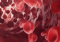 ما هو الهيموجلوبين