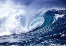 ما هو اكبر محيط في العالم