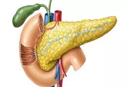 اعراض التهاب البنكرياس