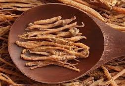 فوائد الجنسنج