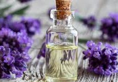 فوائد الخزامى