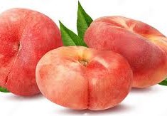 فوائد كعب الغزال