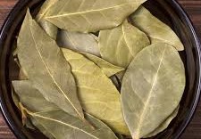 فوائد ورق الغار